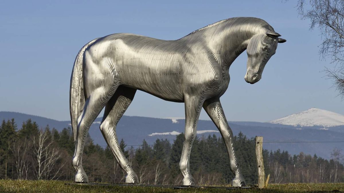 Pardubice si na rok půjčí třímetrového ocelového koně